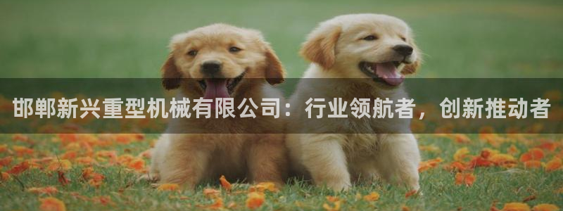 富联娱乐招商主管是谁
