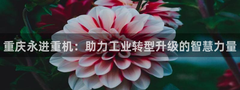 富联2娱乐资讯官网首页